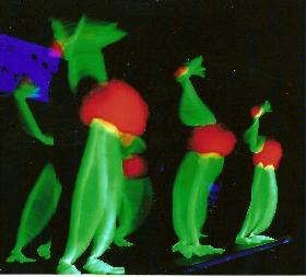 Dancing Birds 2007.JPG